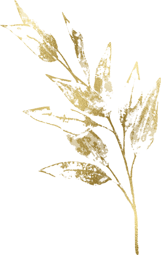 Eucalyptus branch Gold foil Watercolor Clipart